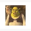 flat750x075f pad750x1000f8f8f8.u2 13 - Shrek Stuff