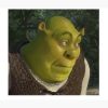 flat750x075f pad750x1000f8f8f8.u2 20 - Shrek Stuff