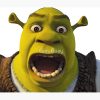 flat750x075f pad750x1000f8f8f8.u2 4 - Shrek Stuff