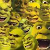 flat750x075f pad750x750f8f8f8 12 - Shrek Stuff