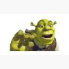 flat750x075f pad750x750f8f8f8.u4 13 - Shrek Stuff