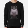 ssrcolightweight sweatshirtmens10101001c5ca27c6frontsquare productx1000 bgf8f8f8 14 - Shrek Stuff