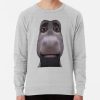 ssrcolightweight sweatshirtmensheather greyfrontsquare productx1000 bgf8f8f8 14 - Shrek Stuff