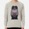 ssrcolightweight sweatshirtmensoatmeal heatherfrontsquare productx1000 bgf8f8f8 14 - Shrek Stuff