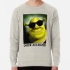 ssrcolightweight sweatshirtmensoatmeal heatherfrontsquare productx1000 bgf8f8f8 8 - Shrek Stuff