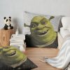 throwpillowsecondary 36x361000x1000 bgf8f8f8 14 - Shrek Stuff