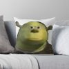 throwpillowsmall1000x bgf8f8f8 c020010001000 4 - Shrek Stuff